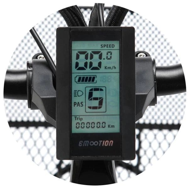 E-VISION ALEGRIA 26" - BLACK