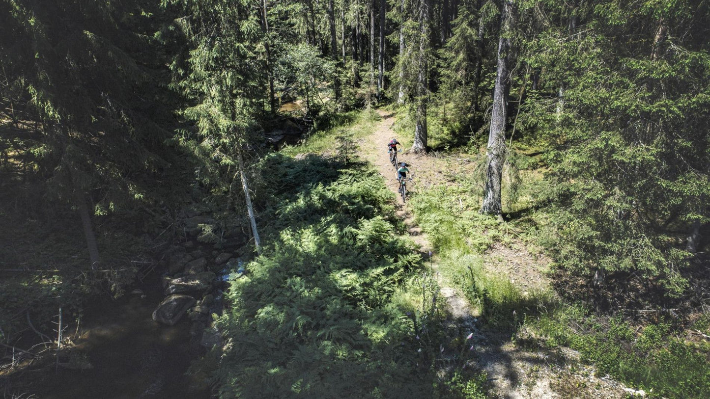 VTT - Reaction C:62 Pro - electricorange´n´spice - CUBE