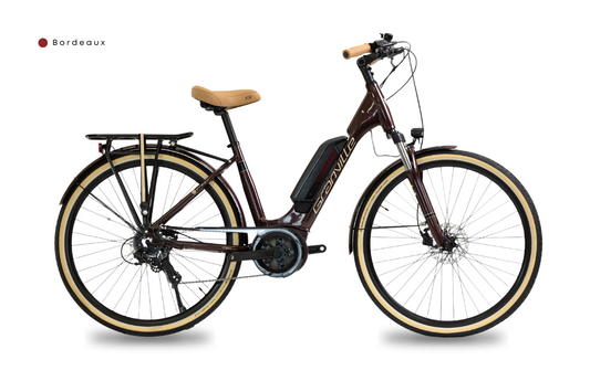 E-URBAN 30 plus - 400wh - GRANVILLE