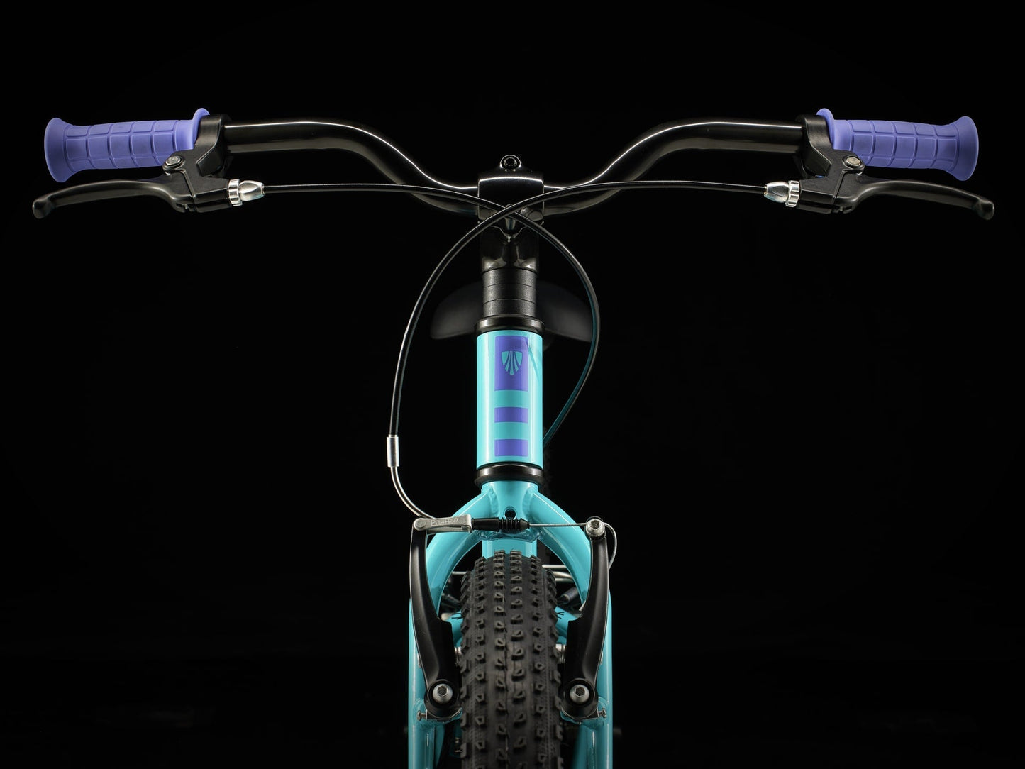 Precaliber 20 Freewheel - TREK