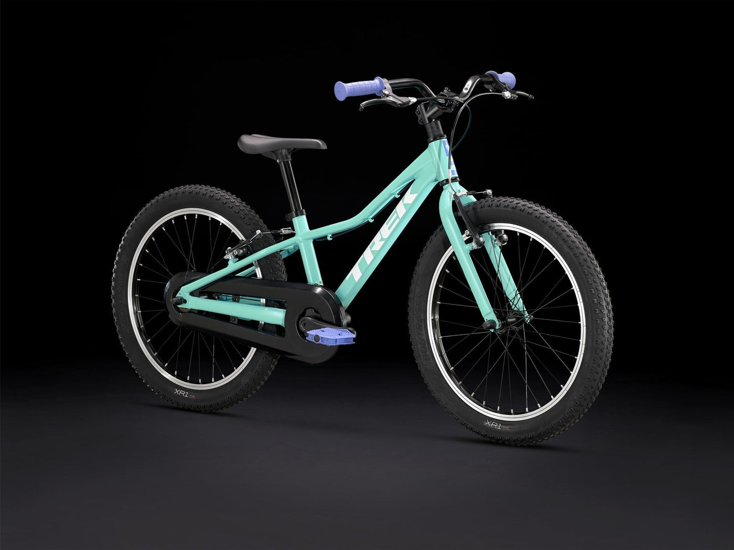 Precaliber 20 Freewheel - TREK